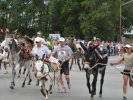 Burro Race at Gold Rush Days, Buena Vista, CO